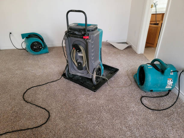 Best Professional water damage repair  in Clayton, NC