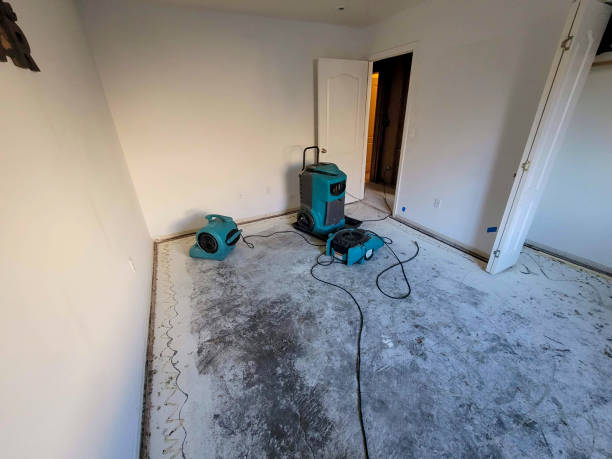 Reliable Clayton, NC Water damage restoration Solutions
