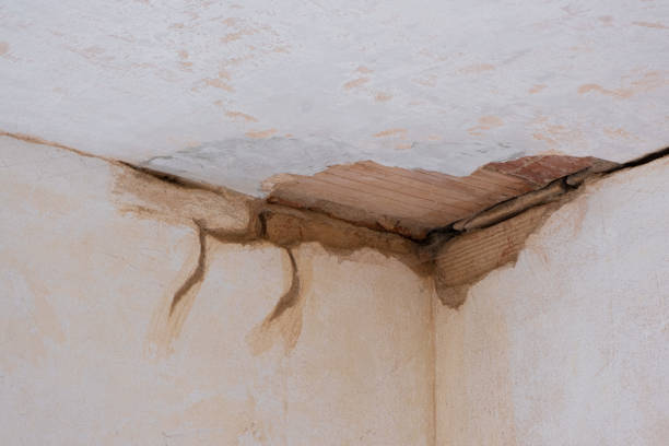 Best Ceiling water damage repair  in Clayton, NC