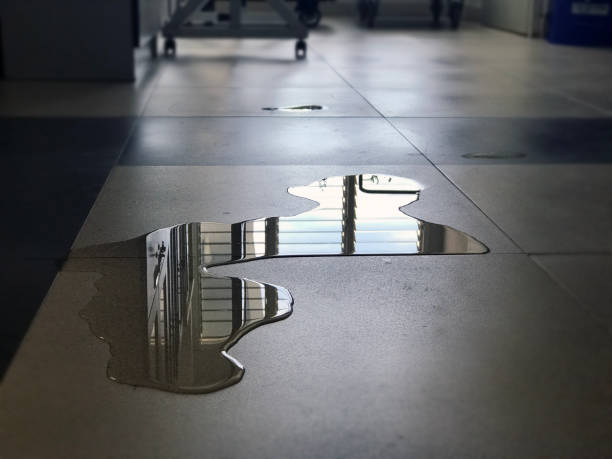 Best Water damage restoration near me  in Clayton, NC