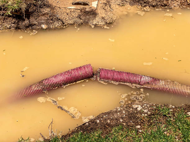 Best Mold removal after water damage  in Clayton, NC