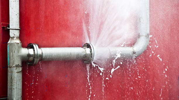 Best Flood restoration services  in Clayton, NC